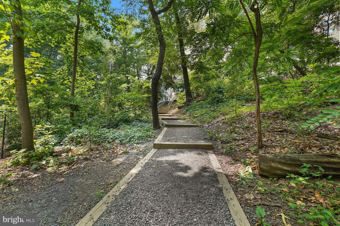5904 Mount Eagle Drive #718 photo 93