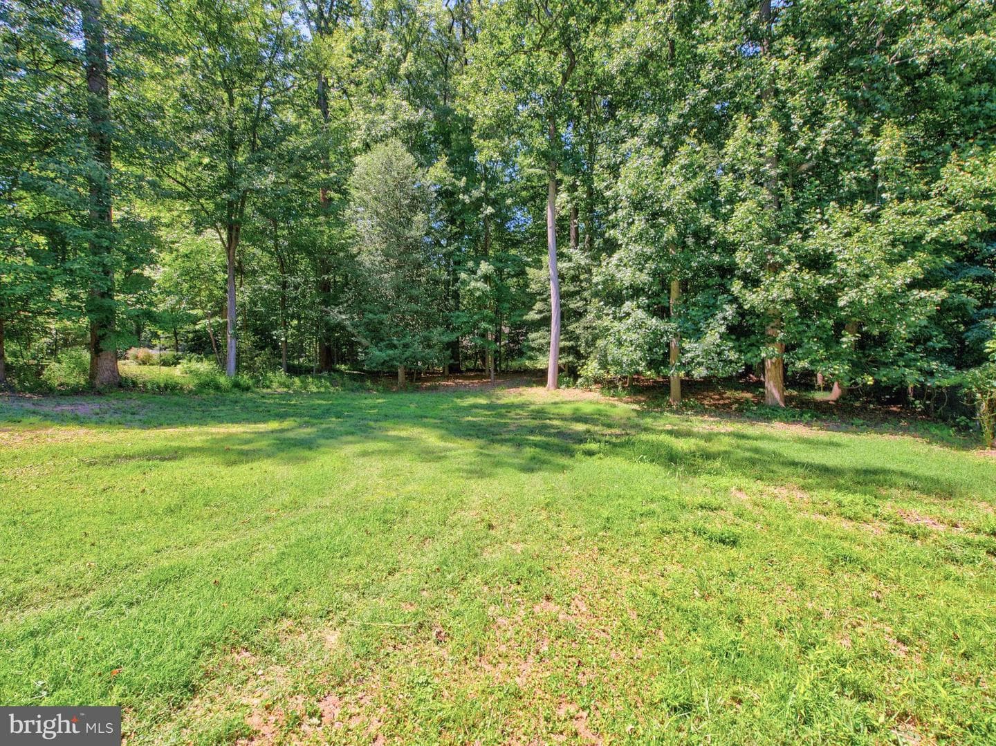 9040 Weant Drive photo 4