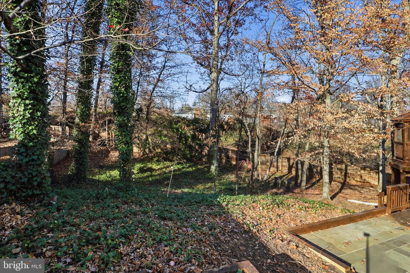 7594 Woodstown Drive photo 36