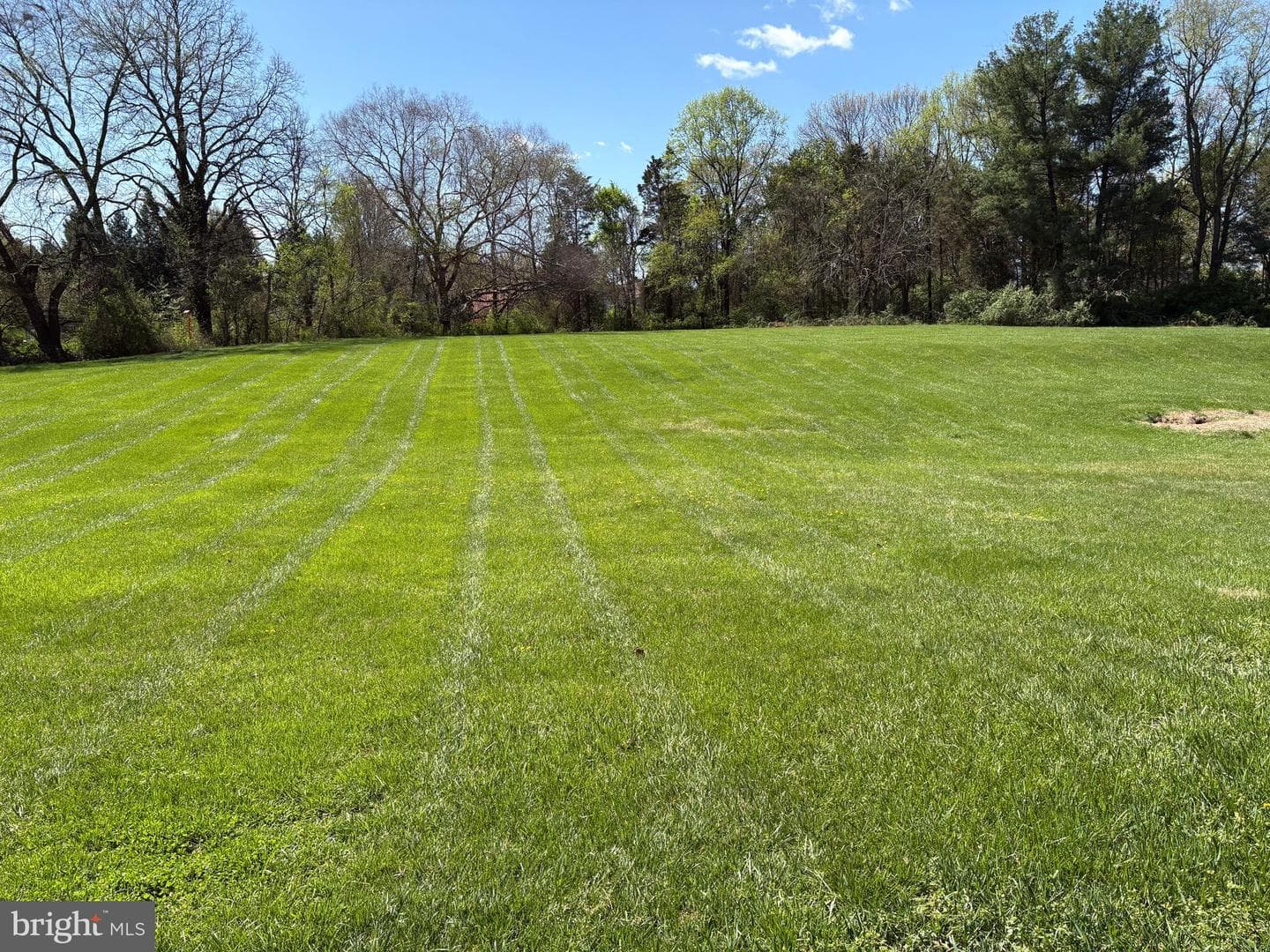 13385 Point Rider Lane photo 47