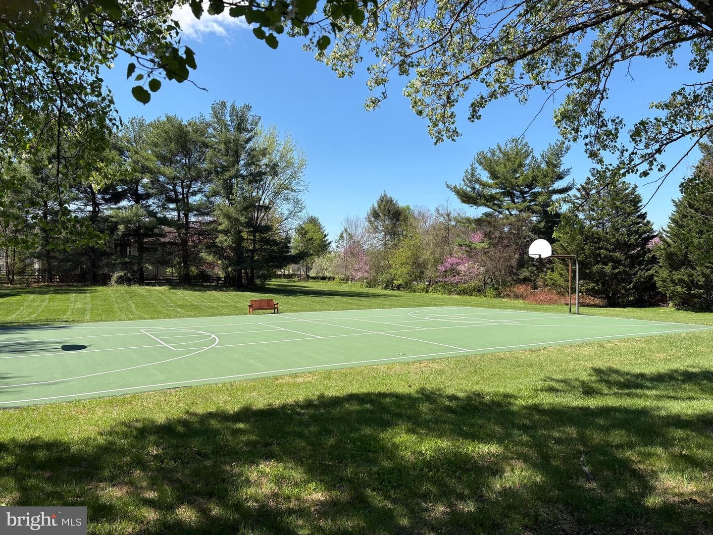 13385 Point Rider Lane photo 49