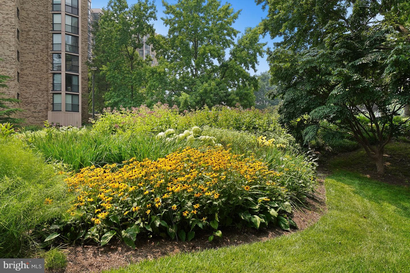 5902 Mount Eagle Drive #315 photo 82