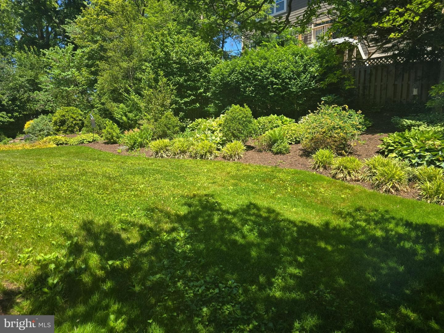 1805 Great Falls Street photo 6