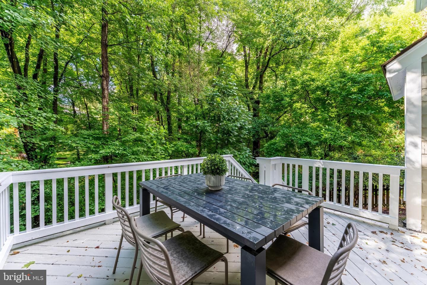 11634 Springhouse Place photo 57