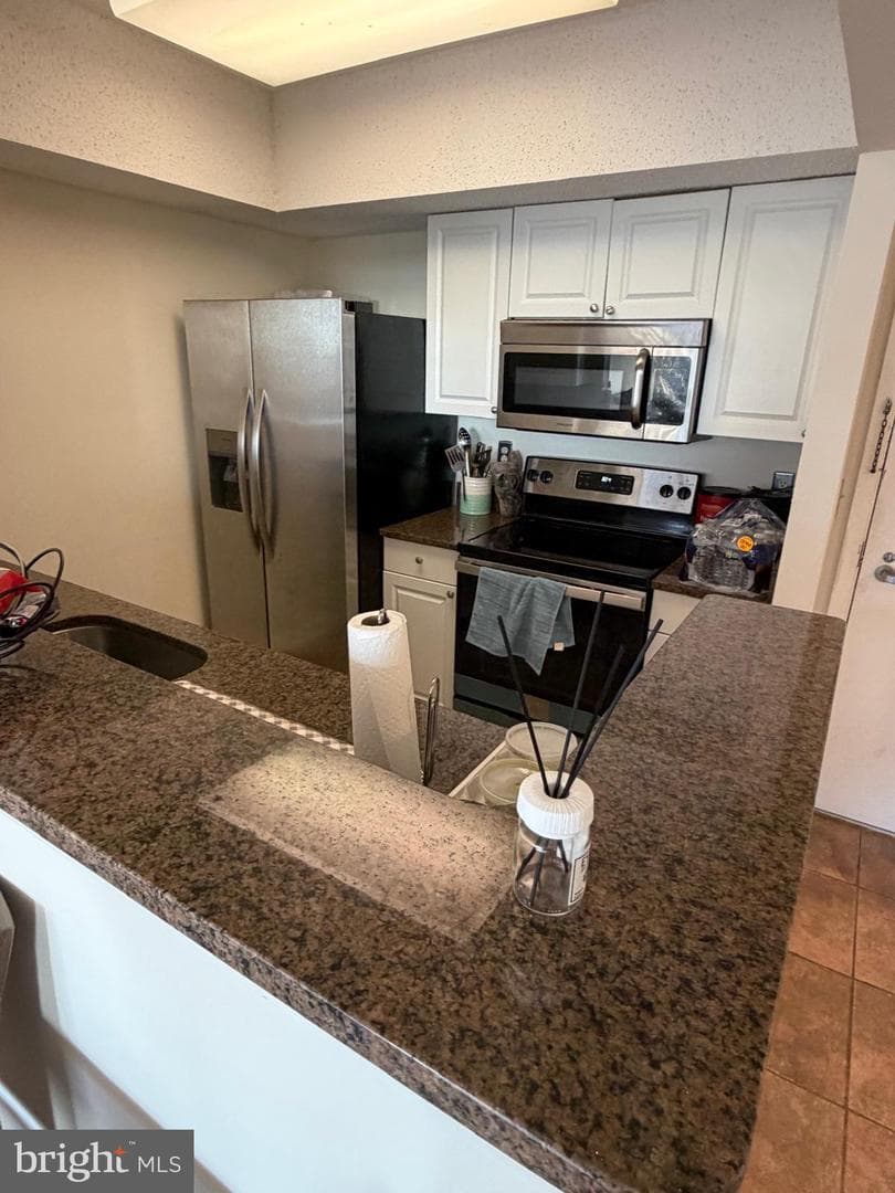 5505 Seminary Road #1313n photo 6