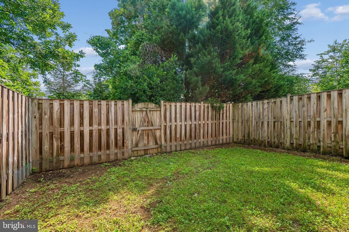 8028 Samuel Wallis Street photo 29