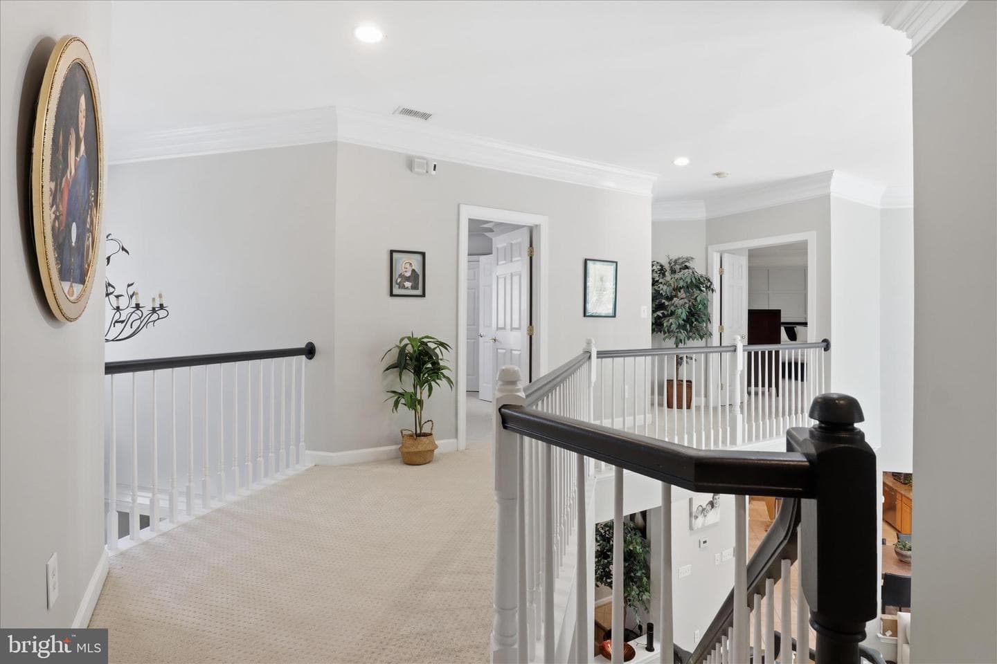 7323 Laurel Creek Court photo 49