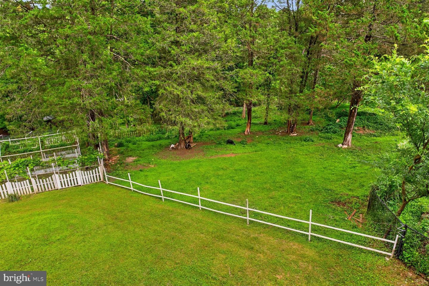 10101 Windy Knoll Lane photo 76