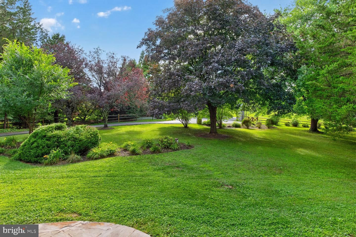 10101 Windy Knoll Lane photo 8