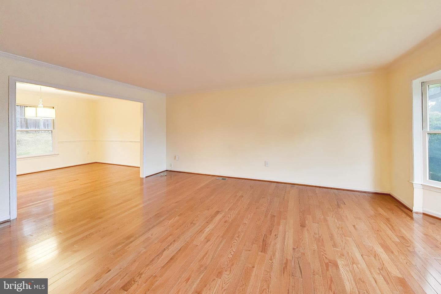 1018 Salt Meadow Lane photo 5