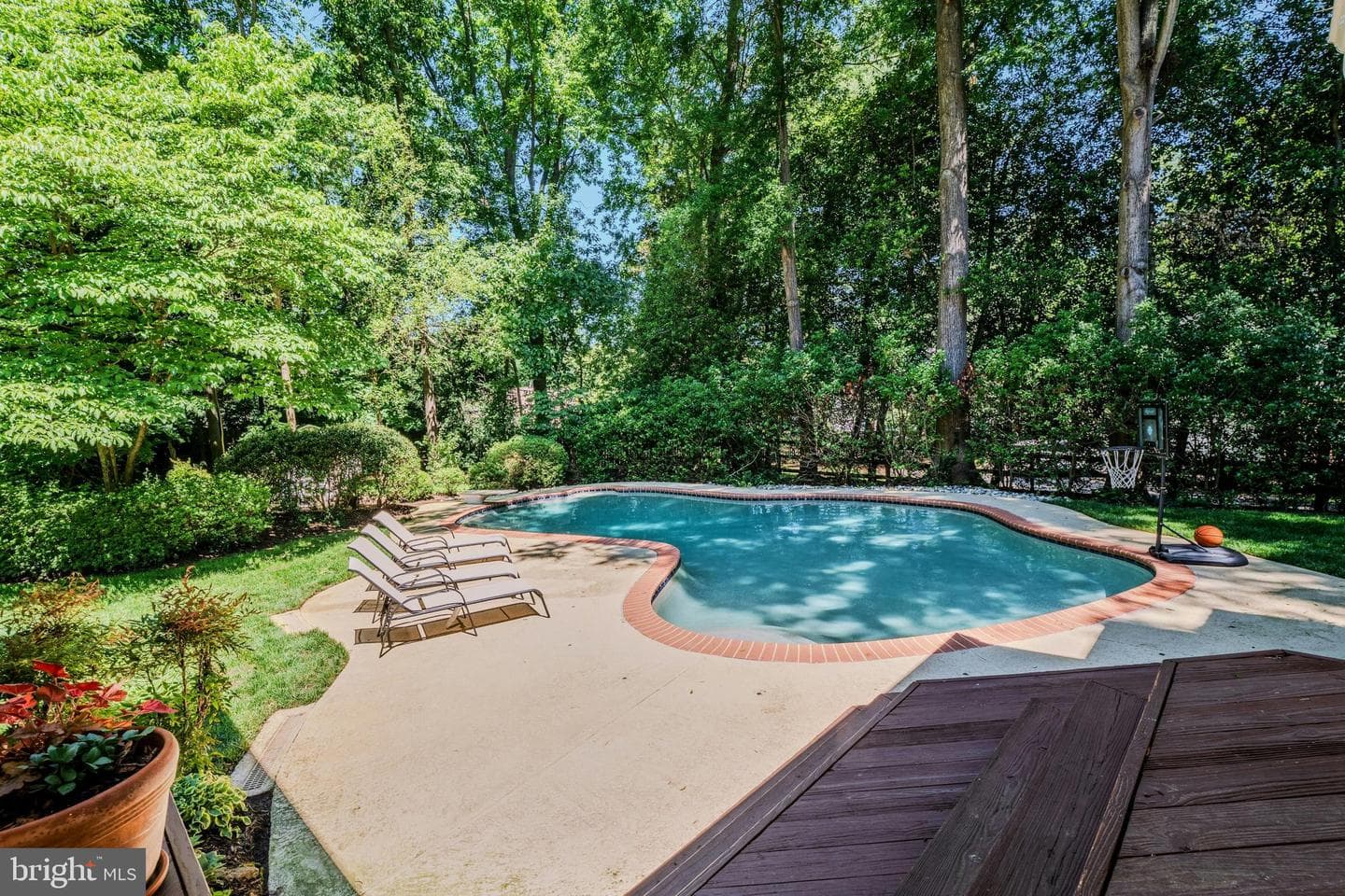 10904 Berryland Court photo 40