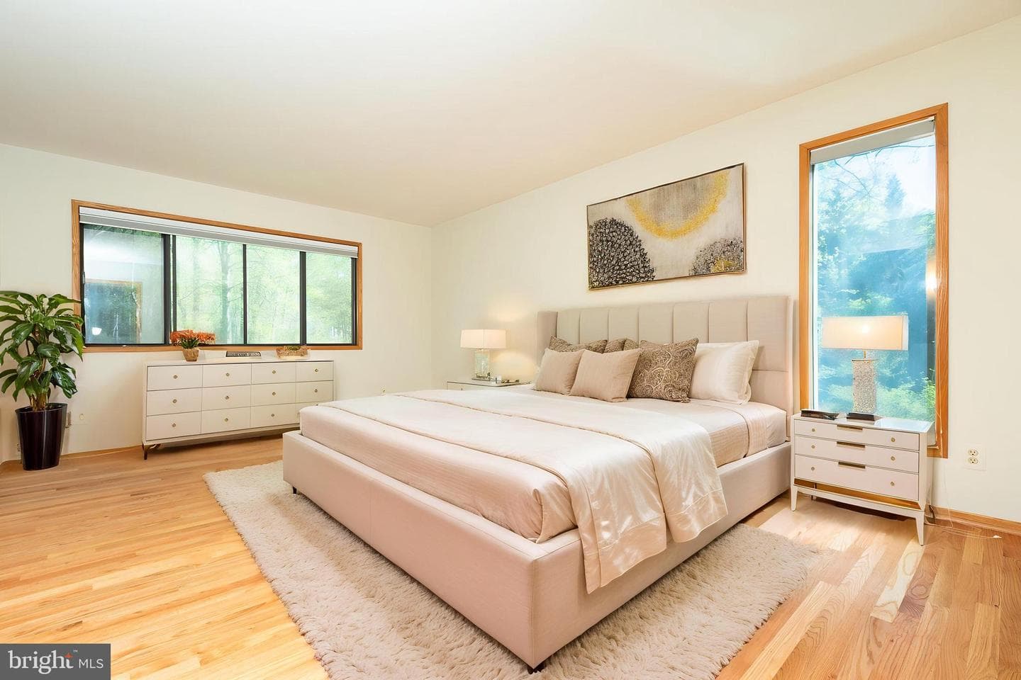 513 Springvale Road photo 13