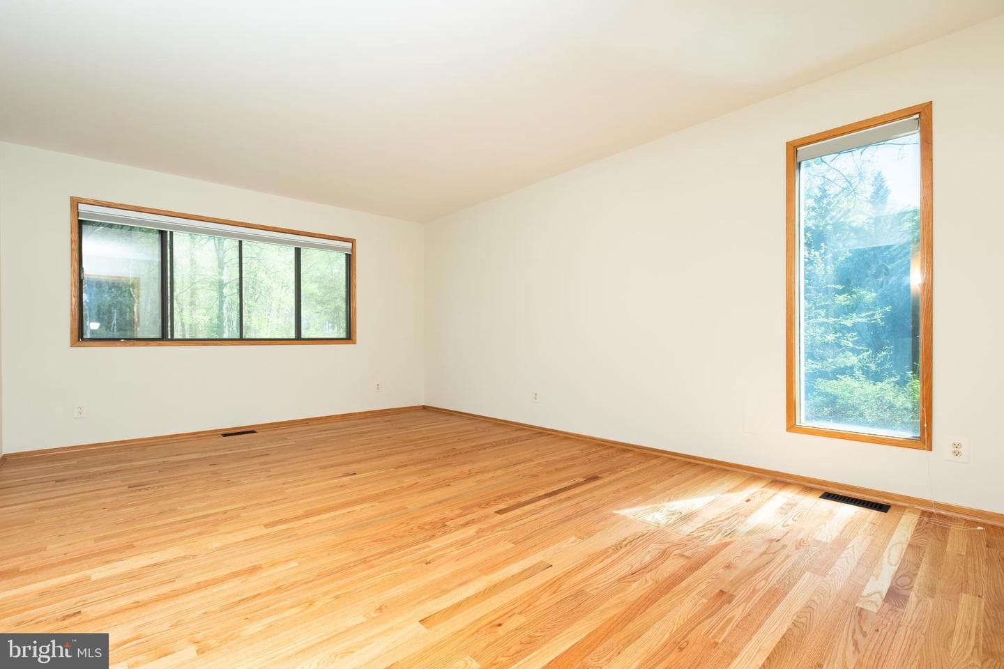 513 Springvale Road photo 37