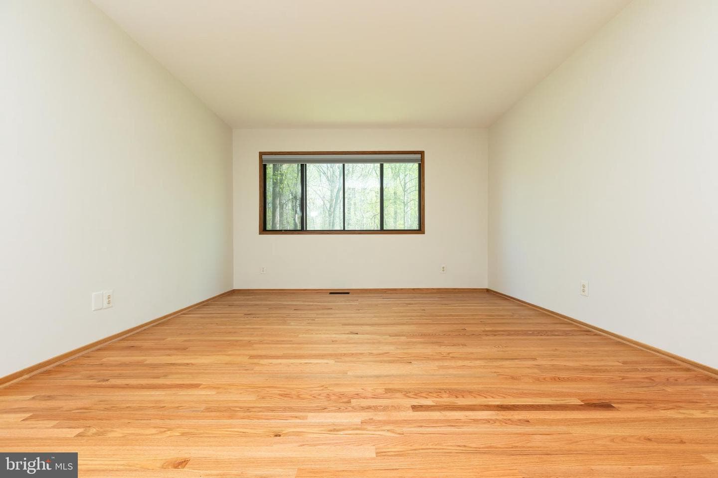 513 Springvale Road photo 38