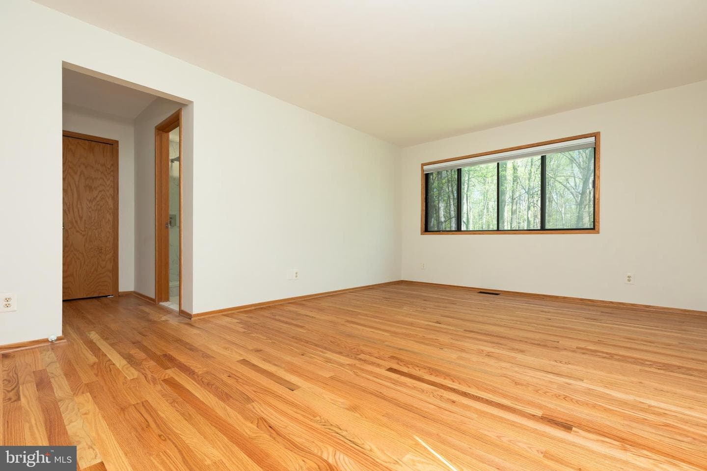 513 Springvale Road photo 39