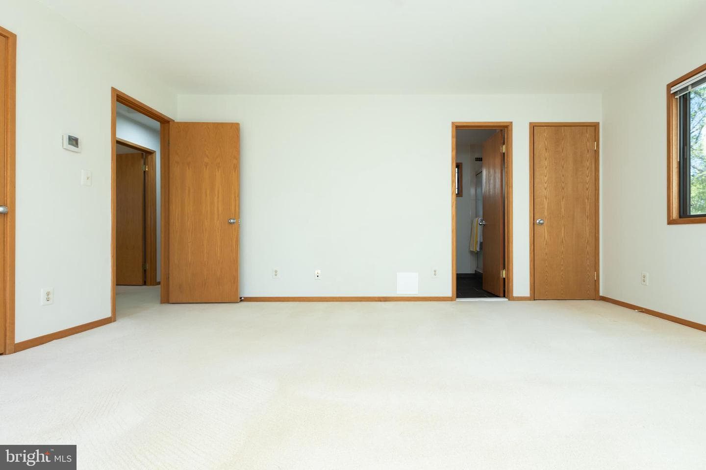 513 Springvale Road photo 52