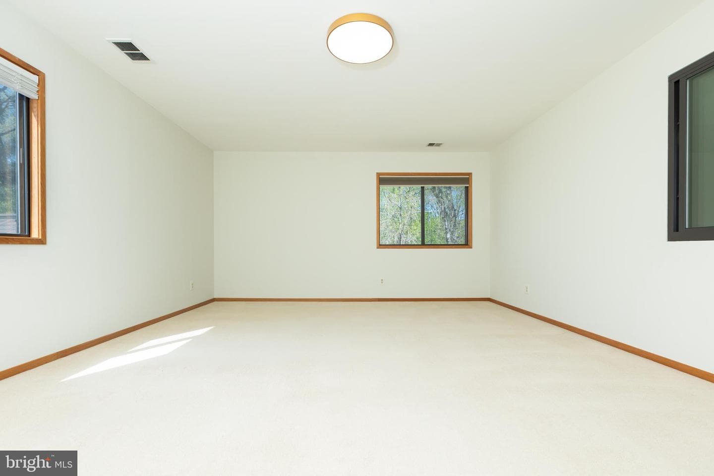 513 Springvale Road photo 60