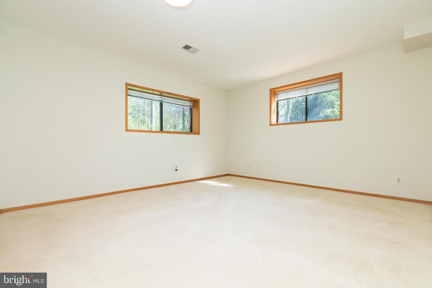 513 Springvale Road photo 73