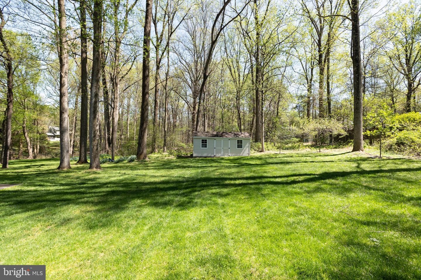 513 Springvale Road photo 86