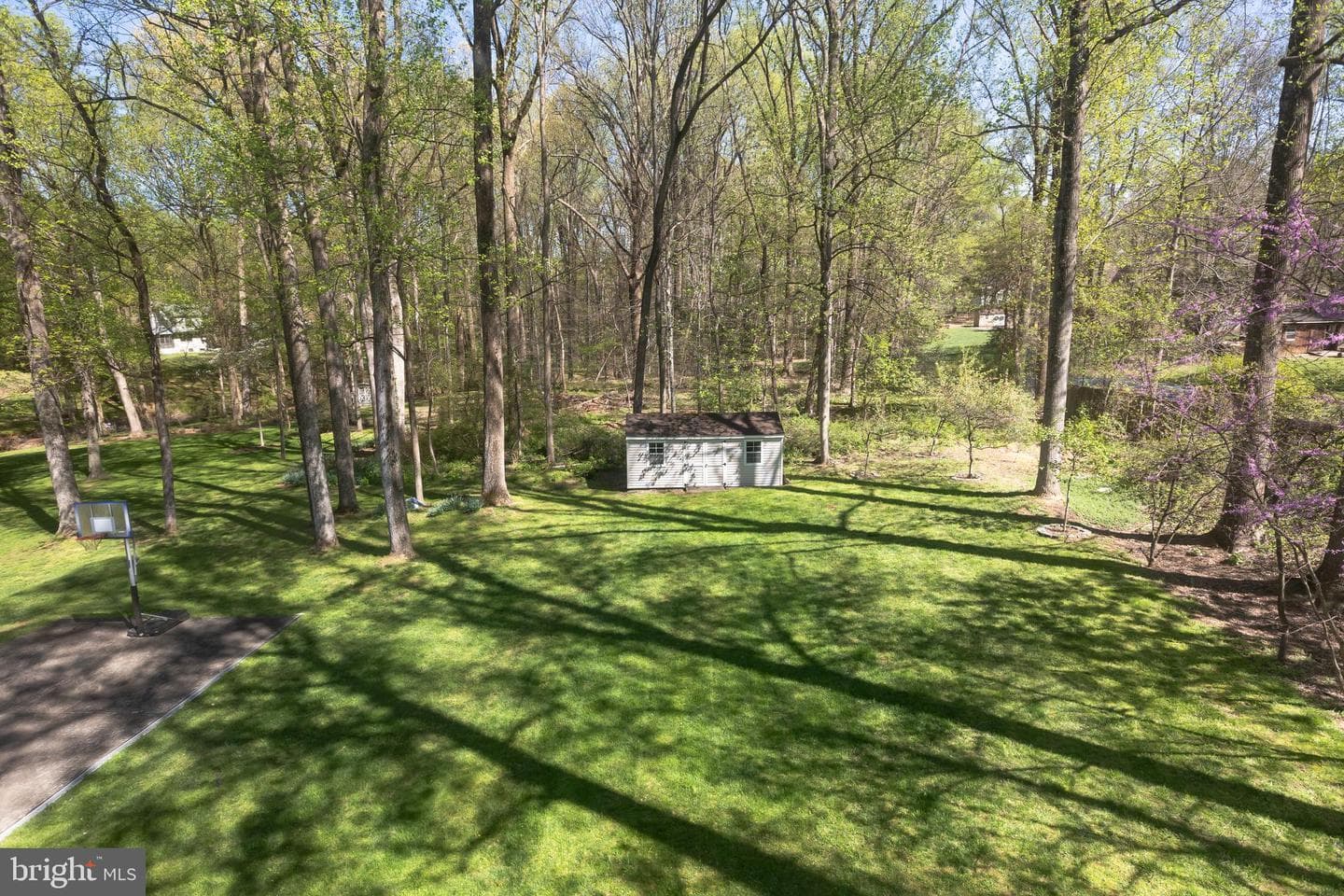 513 Springvale Road photo 89
