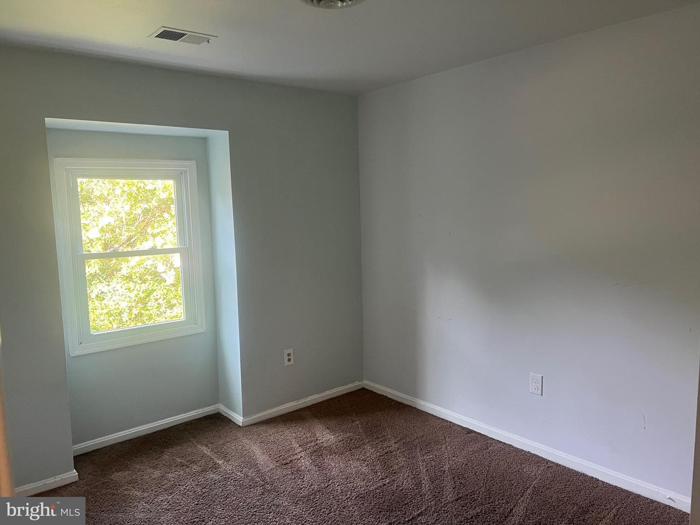 367 Linden Court photo 11