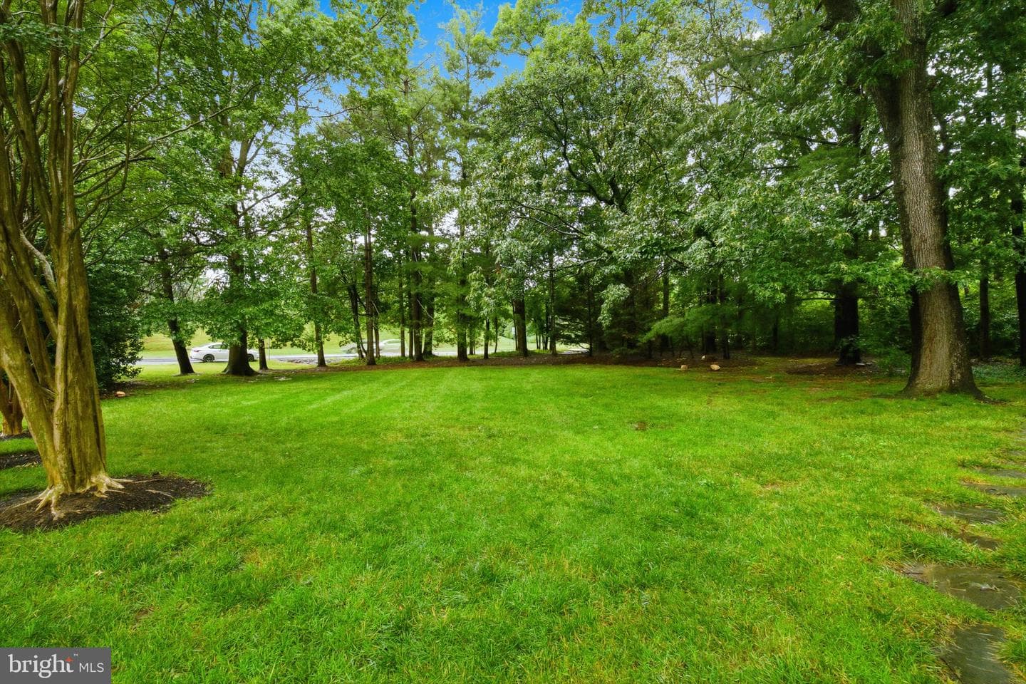 9664 Masterworks Drive photo 50