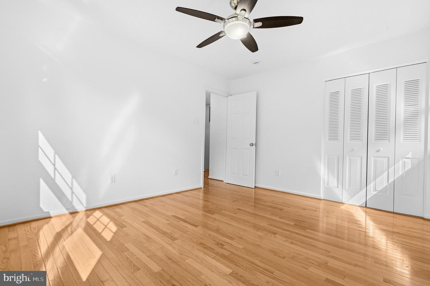 7233 Ashview Drive photo 23