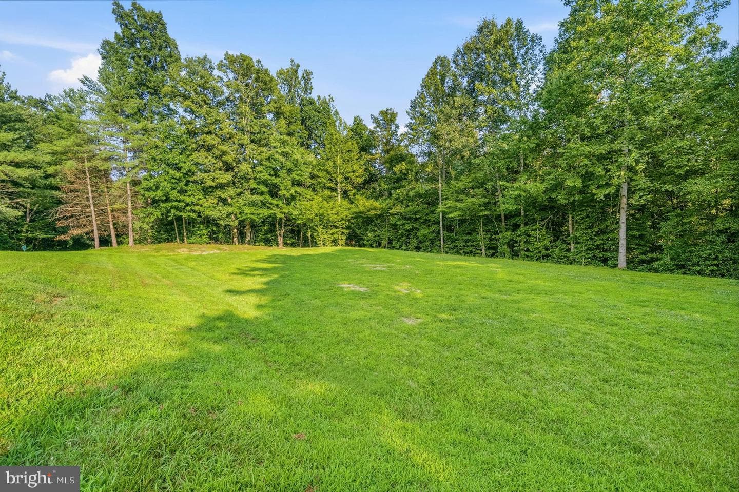 7233 Ashview Drive photo 42