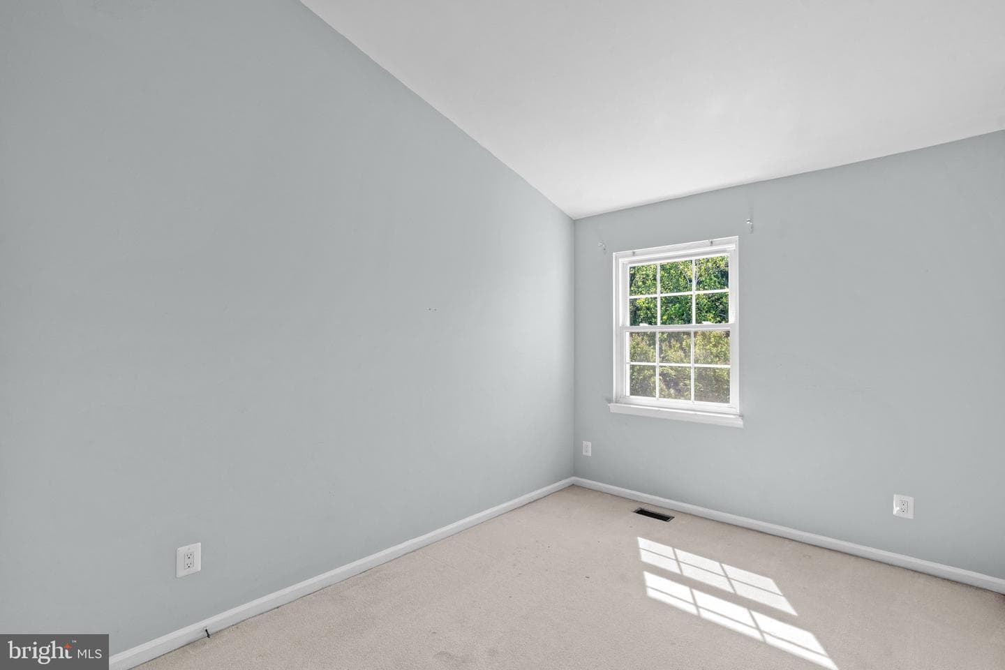 6749 Cardinal Woods Court photo 18