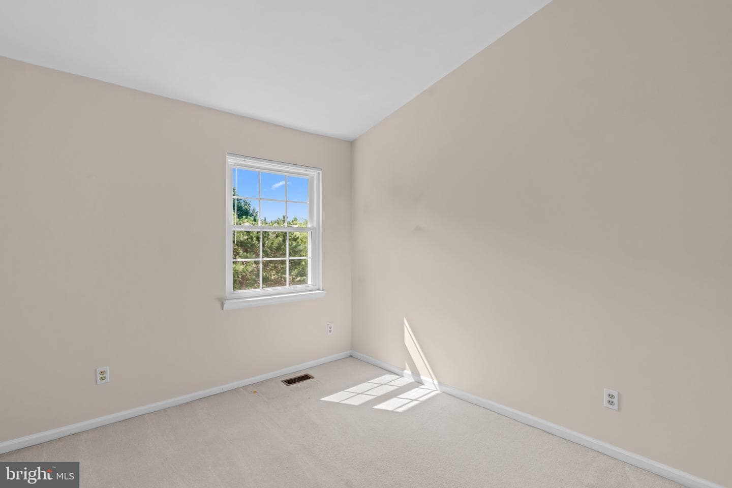 6749 Cardinal Woods Court photo 20