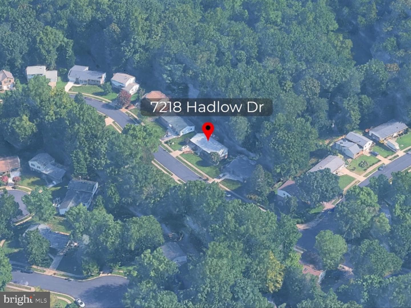7218 Hadlow Drive photo 2