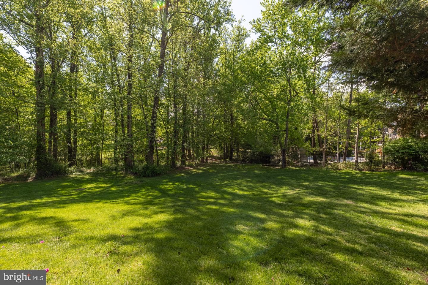 1257 New Bedford Lane photo 42