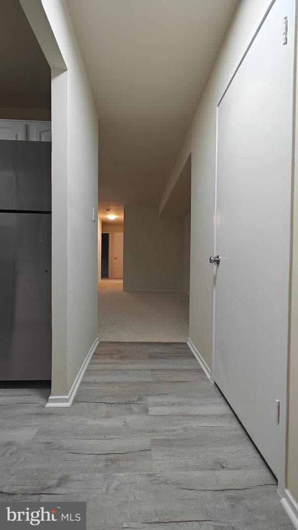 503 Florida Avenue #203 photo 14