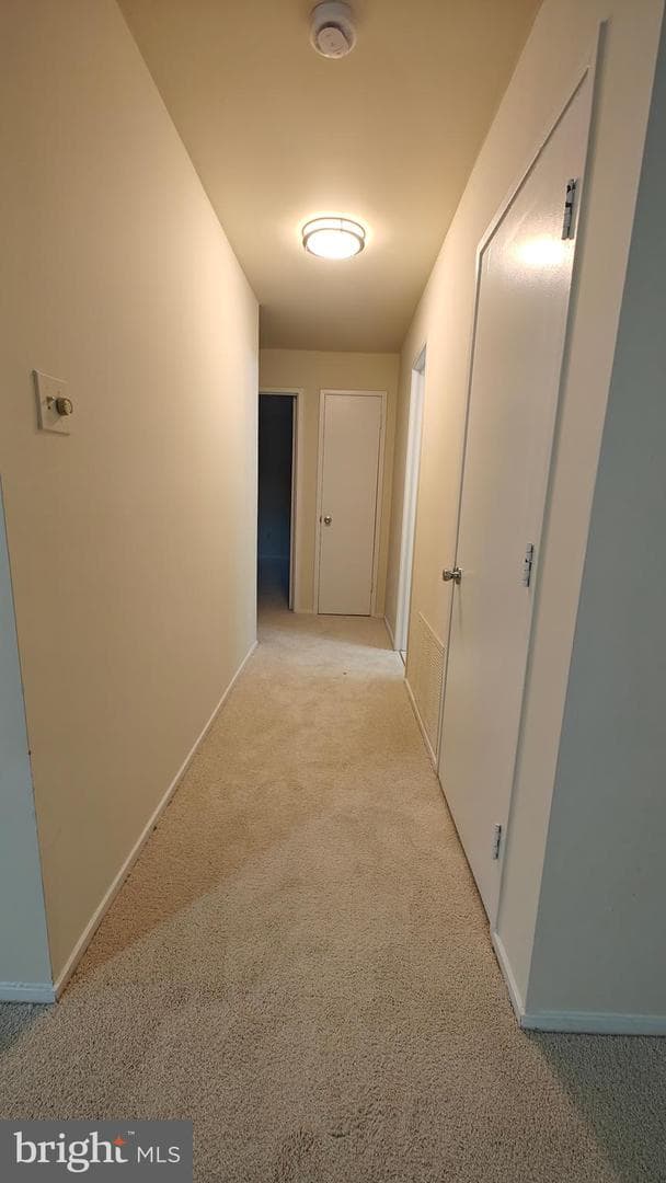 503 Florida Avenue #203 photo 26