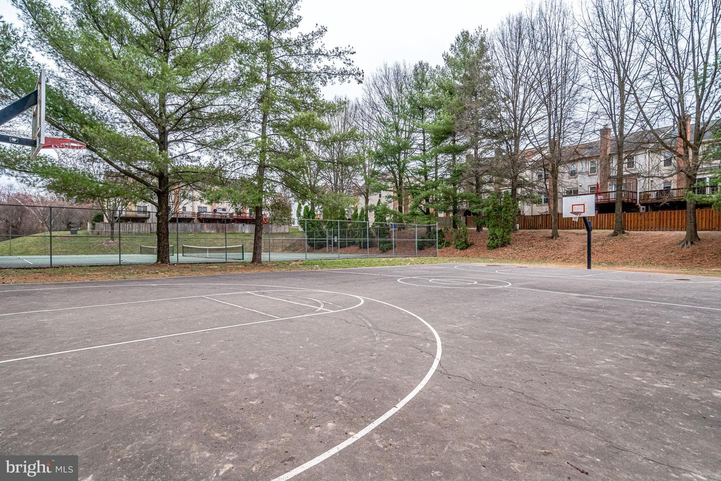 12336 Field Lark Court photo 31