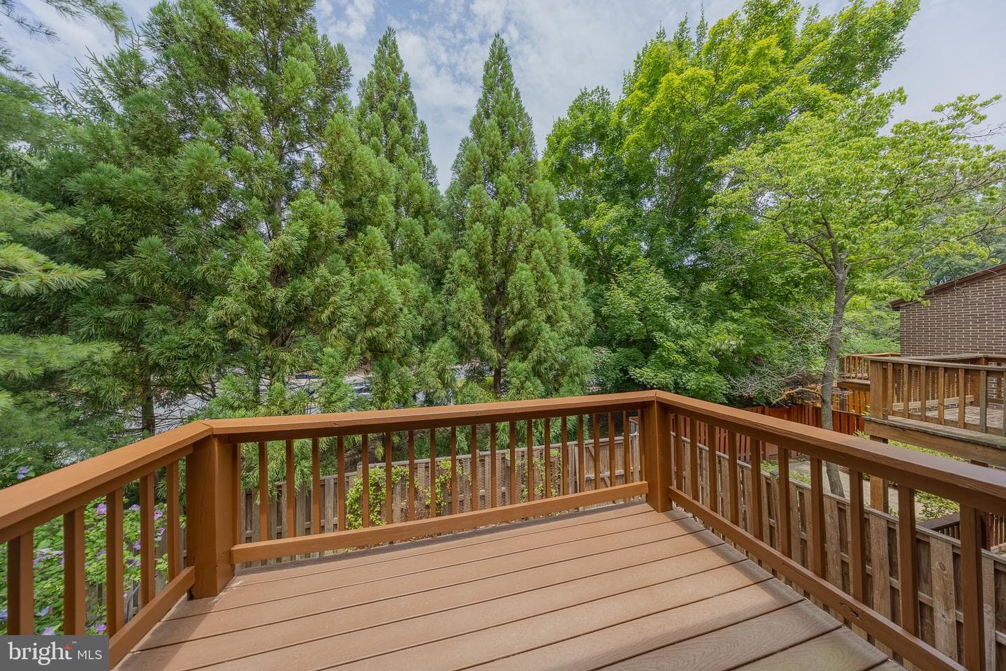 2201 Cedar Cove Court photo 14