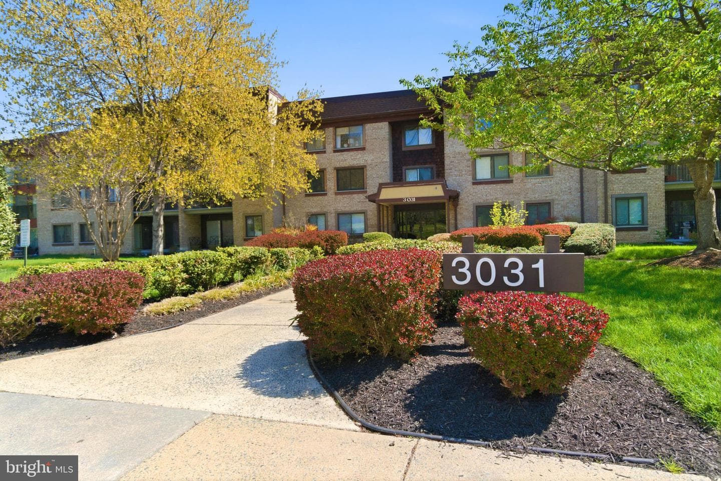 3031 Borge Street #307 photo 35