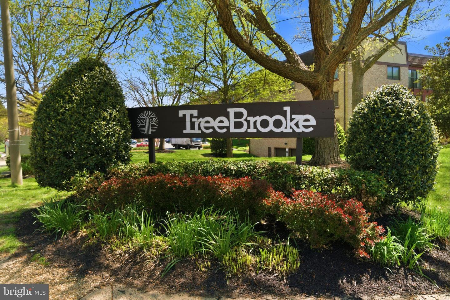3031 Borge Street #307 photo 45