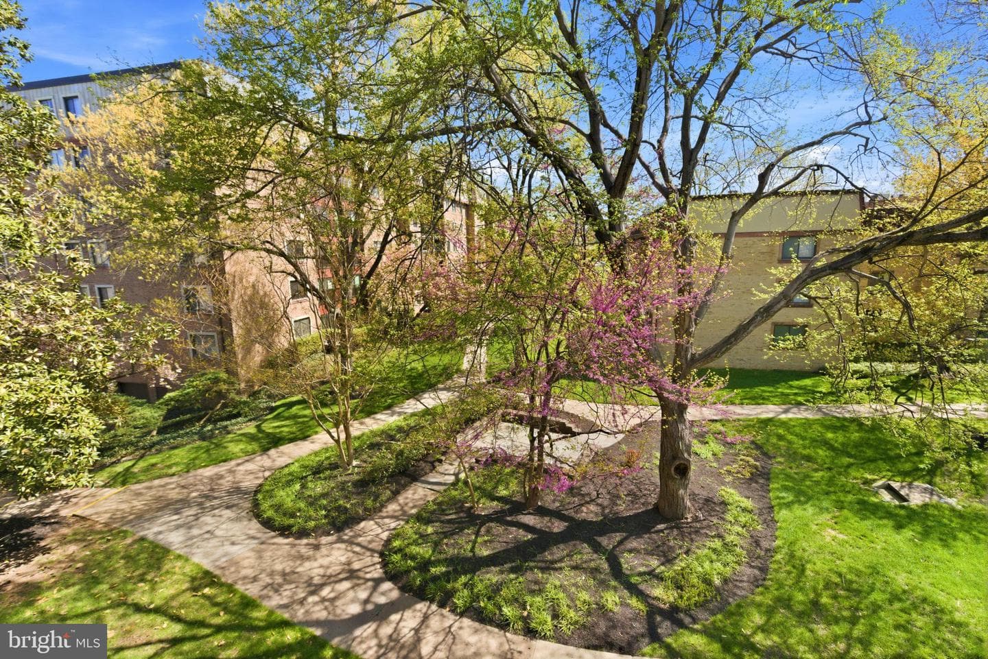 3031 Borge Street #307 photo 9