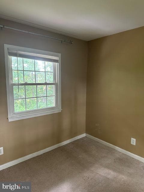 14709 Bentley Square photo 37
