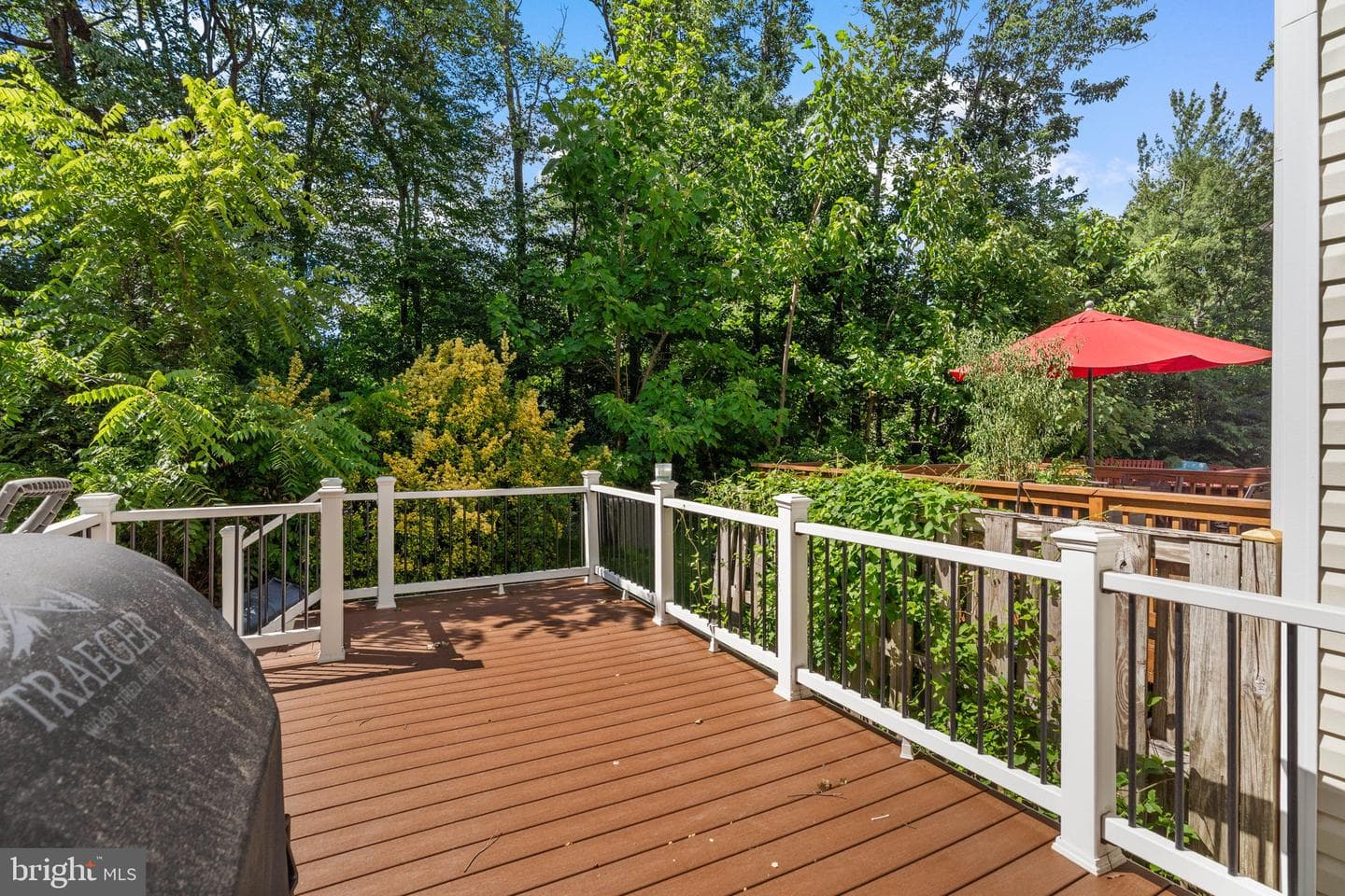 12118 Wedgeway Place photo 43