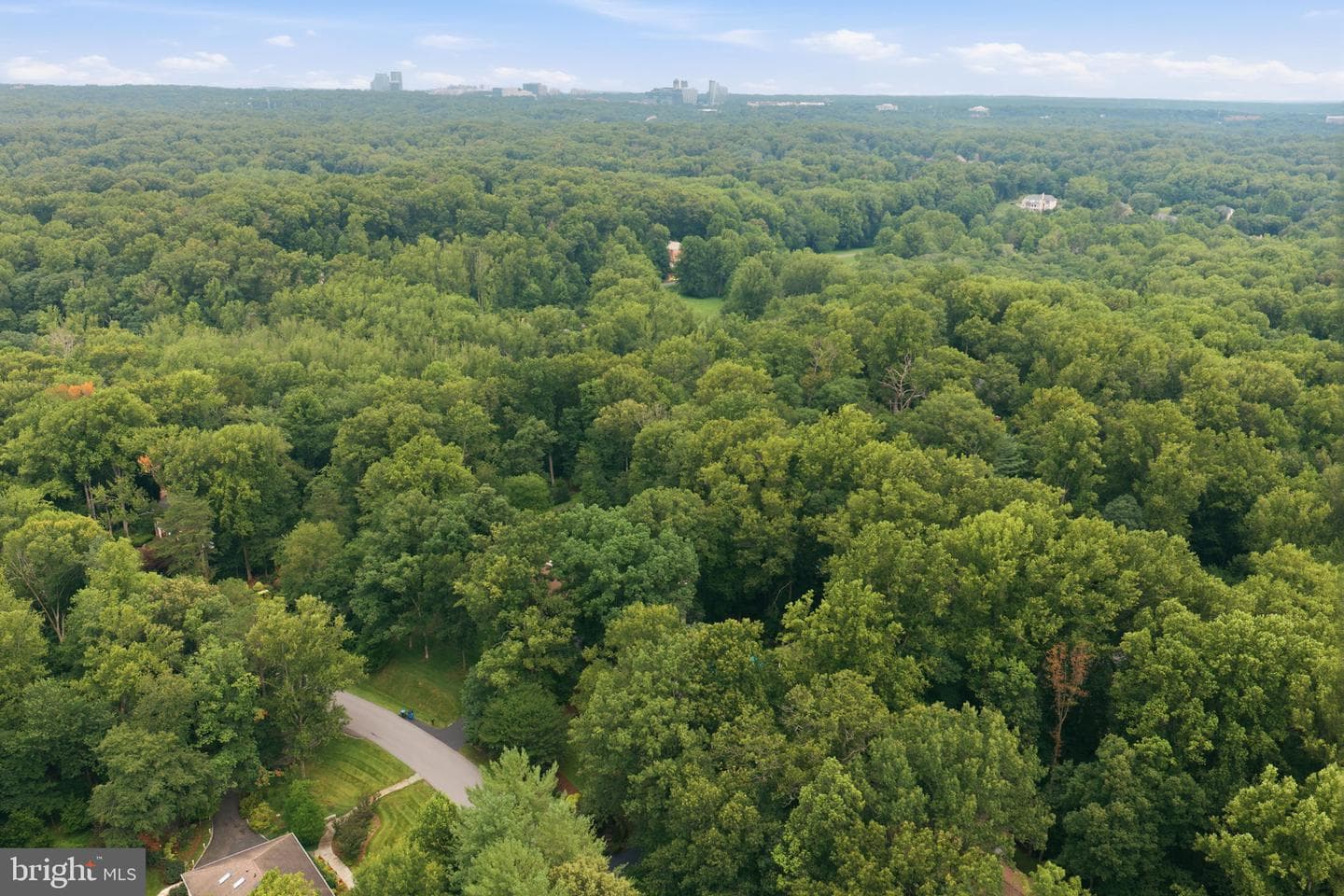 10516 Walter Thompson Drive photo 52