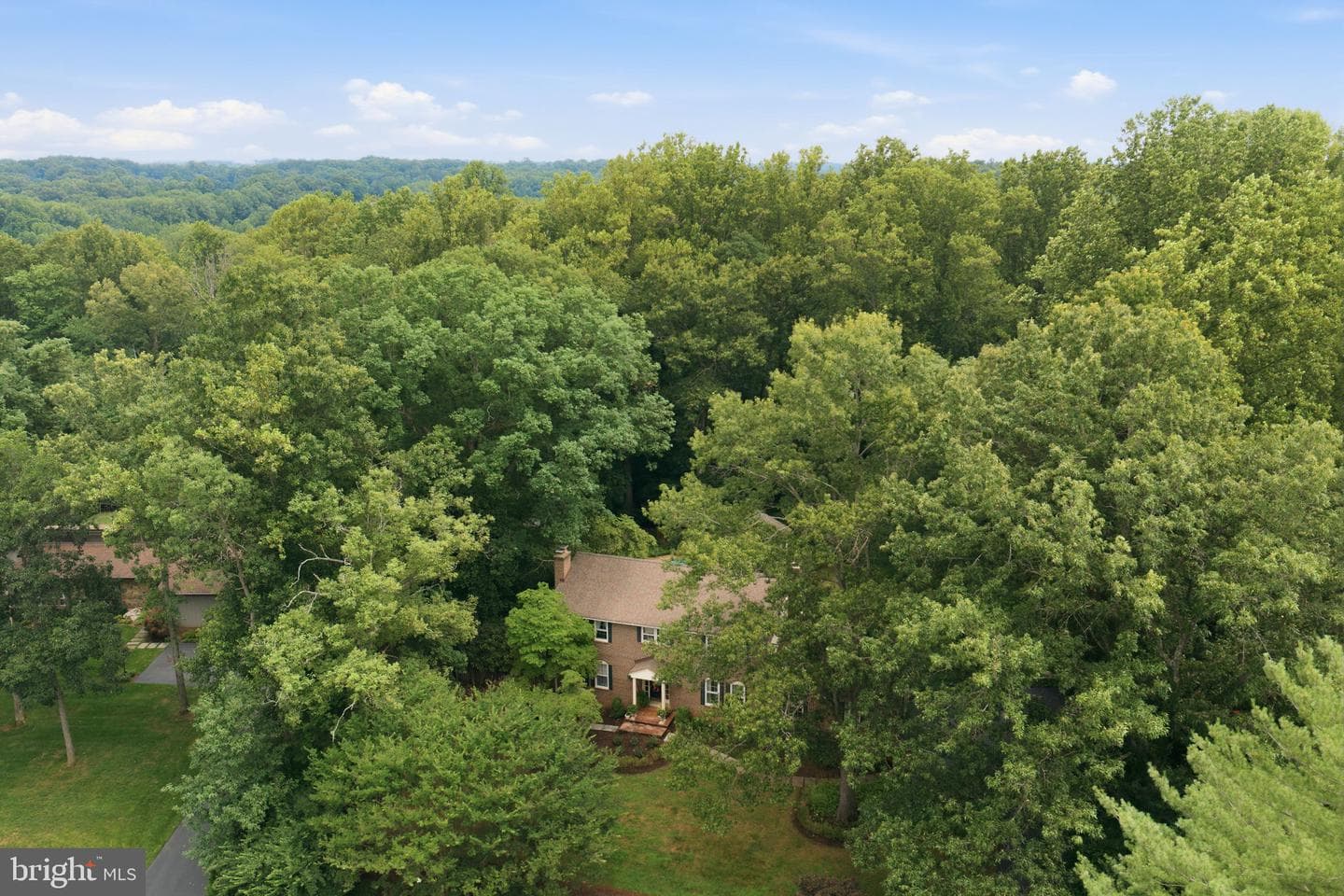 10516 Walter Thompson Drive photo 58