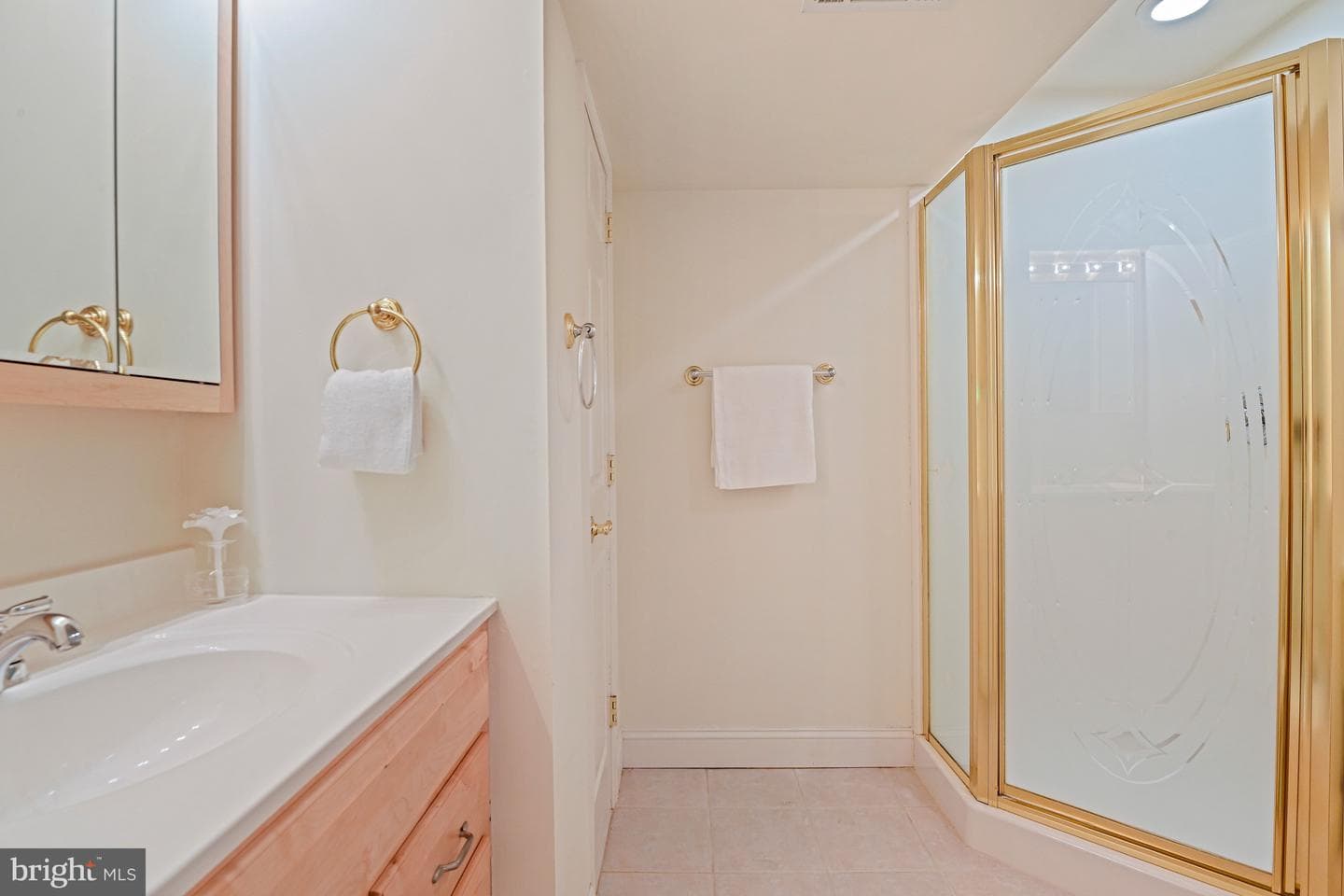 10560 Fox Forest Drive photo 46