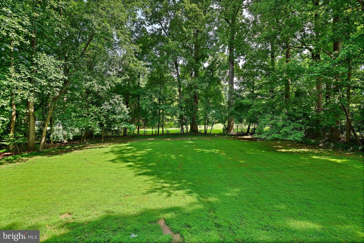 10560 Fox Forest Drive photo 51
