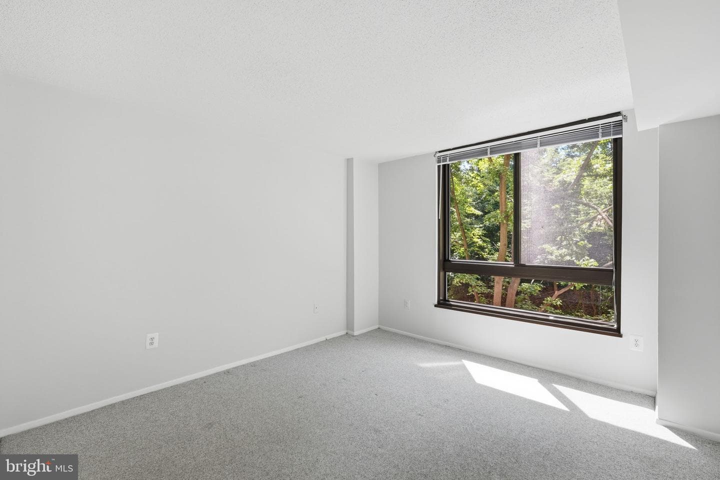 1808 Old Meadow Road #503 photo 14
