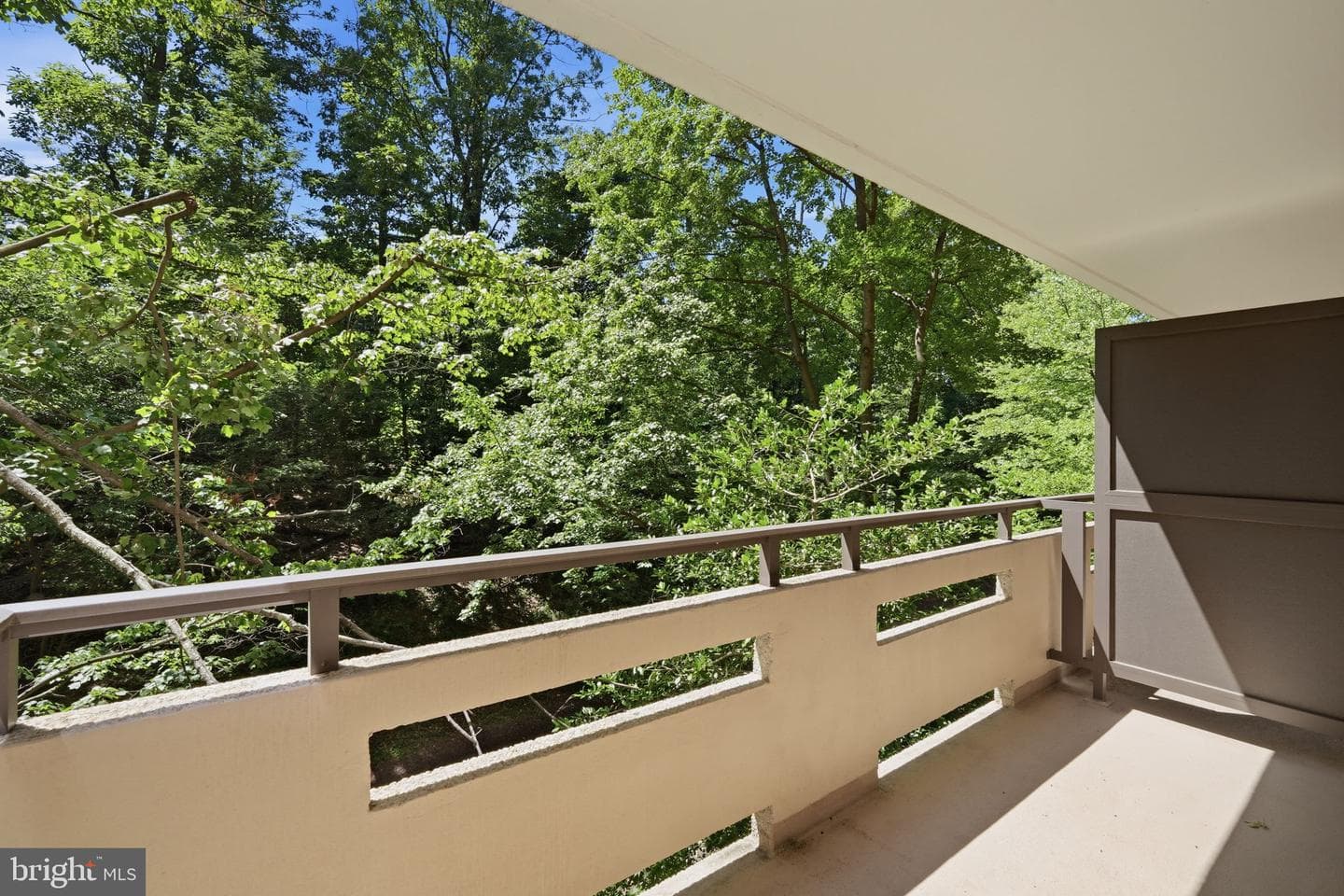 1808 Old Meadow Road #503 photo 21