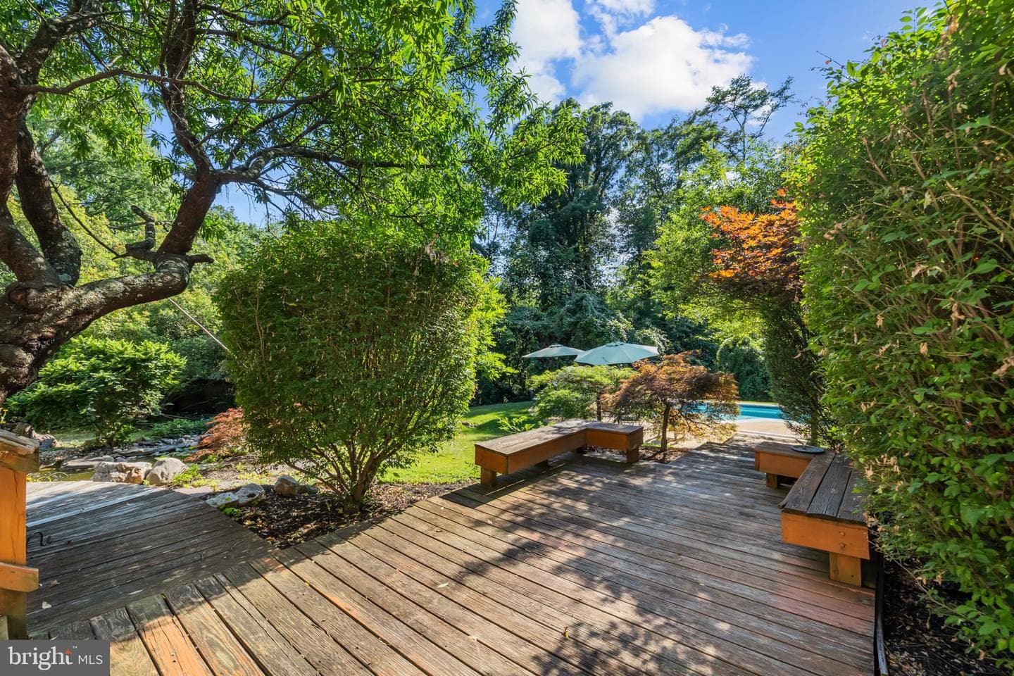 4912 Virginia Street photo 46