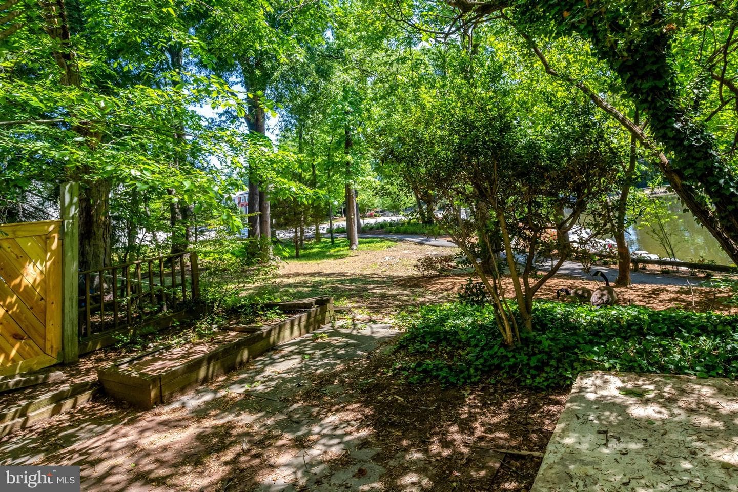 8127 Pinelake Court photo 51