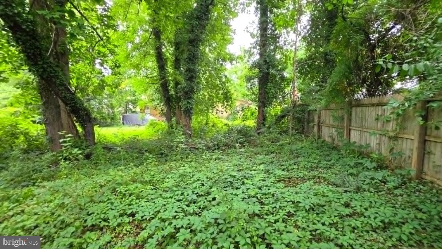 1646 La Salle Avenue photo 6